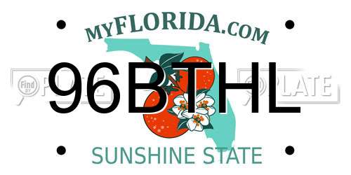 96BTHL Florida License Plate
