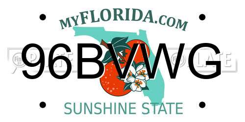 96BVWG Florida License Plate