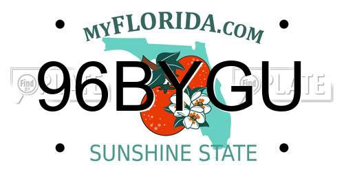 96BYGU Florida License Plate