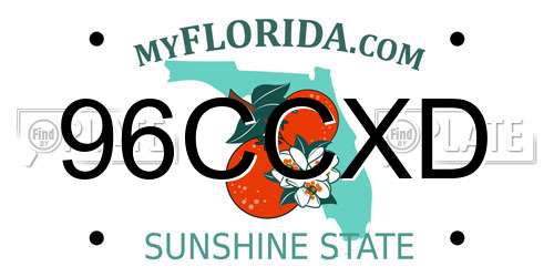 96CCXD Florida License Plate