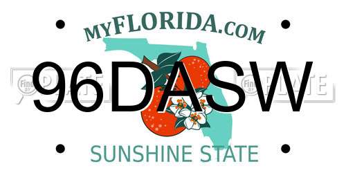 96DASW Florida License Plate