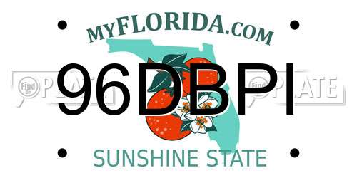 96DBPI Florida License Plate