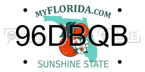 96DBQB Florida License Plate
