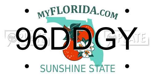 96DDGY Florida License Plate