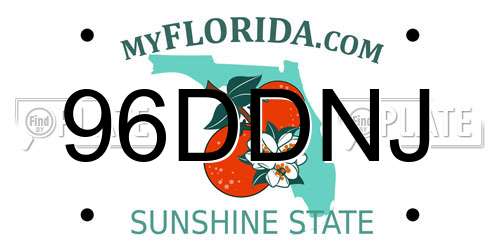 96DDNJ Florida License Plate