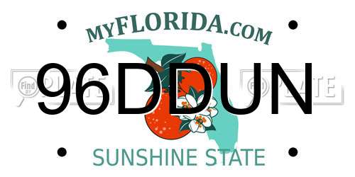96DDUN Florida License Plate