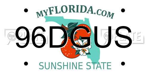 96DGUS Florida License Plate