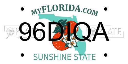 96DIQA Florida License Plate