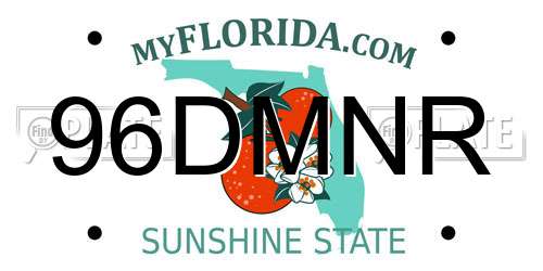 96DMNR Florida License Plate