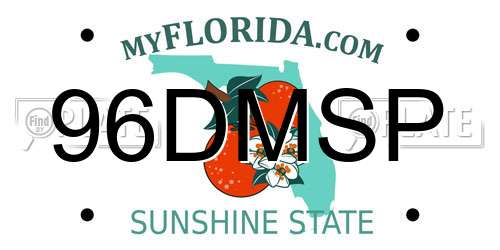 96DMSP Florida License Plate