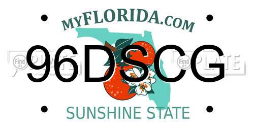 96DSCG Florida License Plate