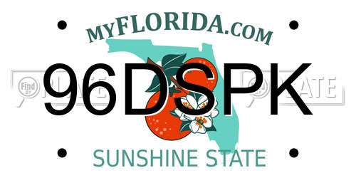 96DSPK Florida License Plate