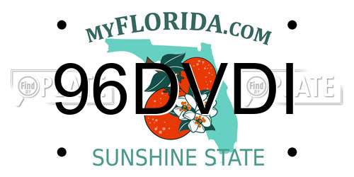 96DVDI Florida License Plate