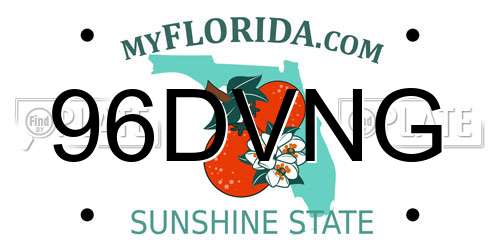 96DVNG Florida License Plate