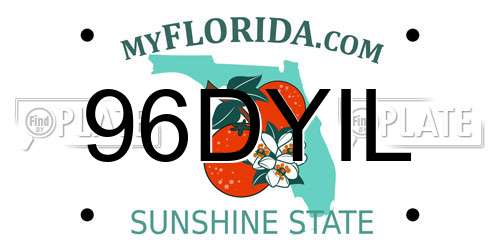 96DYIL Florida License Plate