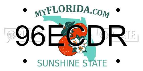 96ECDR Florida License Plate