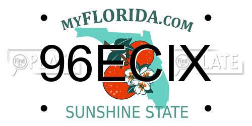 96ECIX Florida License Plate
