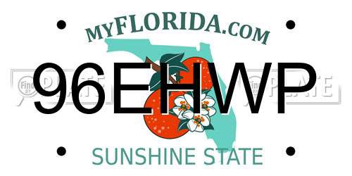 96EHWP Florida License Plate
