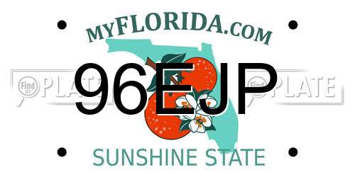 96EJP Florida License Plate