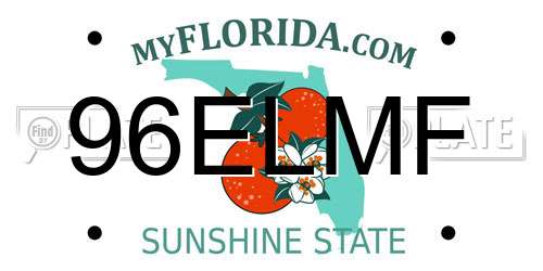 96ELMF Florida License Plate