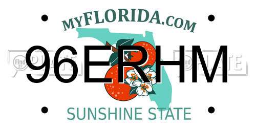 96ERHM Florida License Plate