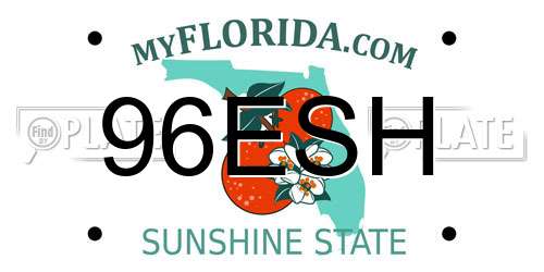 96ESH Florida License Plate
