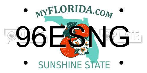 96ESNG Florida License Plate