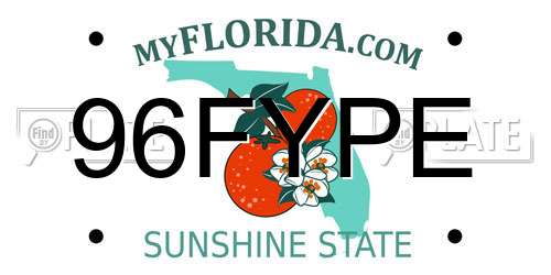 96FYPE Florida License Plate