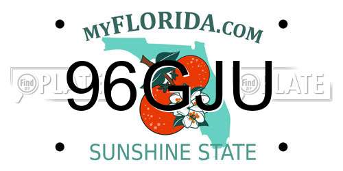 96GJU Florida License Plate