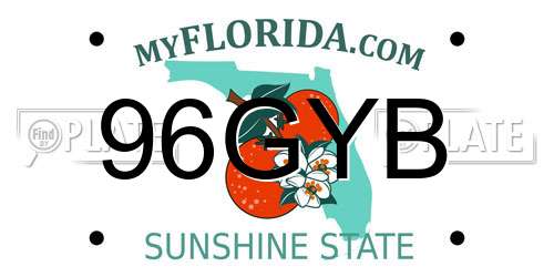 96GYB Florida License Plate