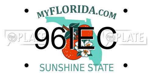 96IEC Florida License Plate