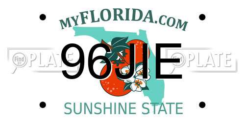 96JIE Florida License Plate