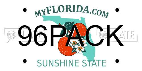 96PACK Florida License Plate