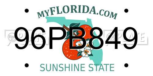 96PB849 Florida License Plate