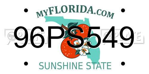 96PS549 Florida License Plate