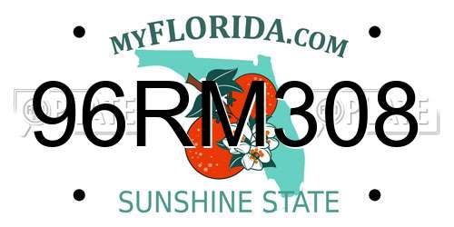 96RM308 Florida License Plate