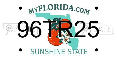 96TR25 Florida License Plate