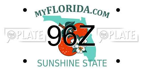 96Z Florida License Plate