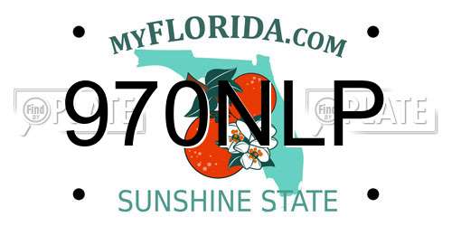 970NLP Florida License Plate