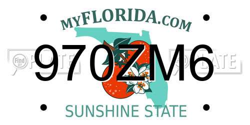970ZM6 Florida License Plate