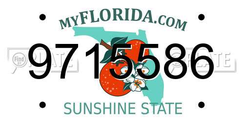 9715586 Florida License Plate