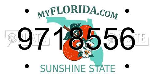 9718556 Florida License Plate