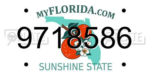 9718586 Florida License Plate