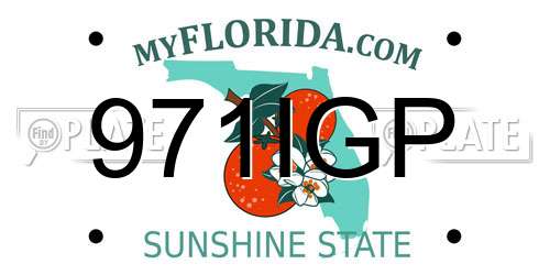 971IGP Florida License Plate