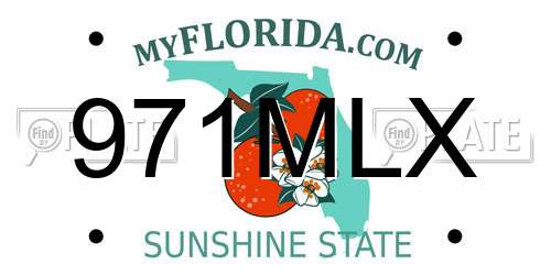 971MLX Florida License Plate