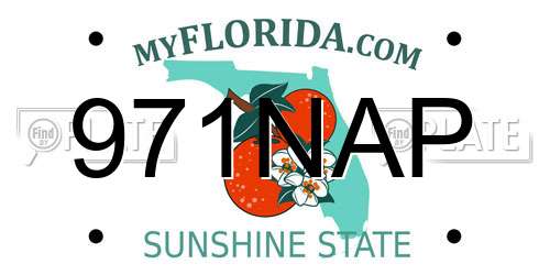 971NAP Florida License Plate