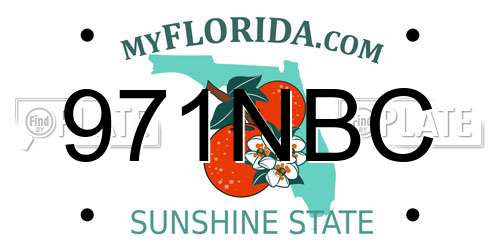 971NBC Florida License Plate
