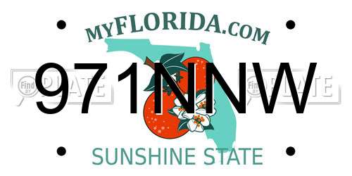 971NNW Florida License Plate