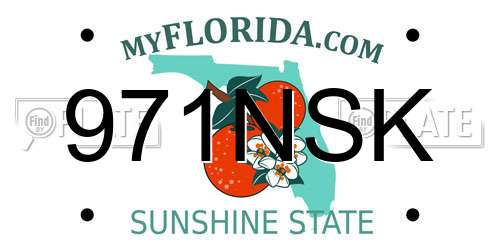 971NSK Florida License Plate