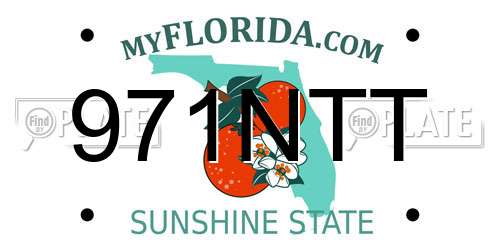 971NTT Florida License Plate